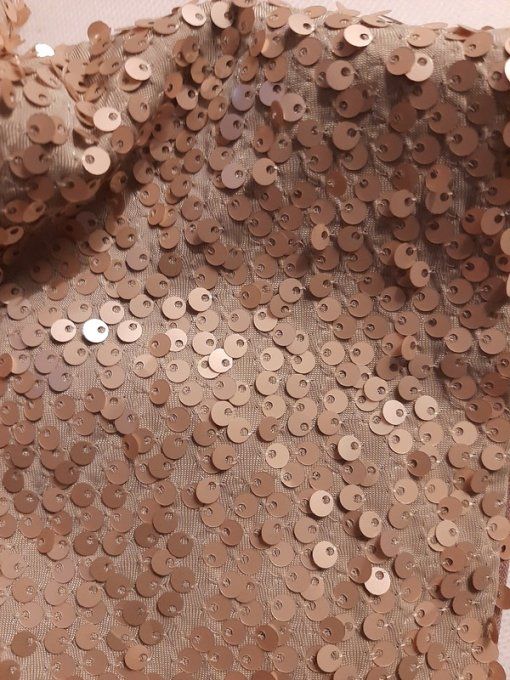 Cape col à Capuche en Paillettes beige or – Pièce Unique -