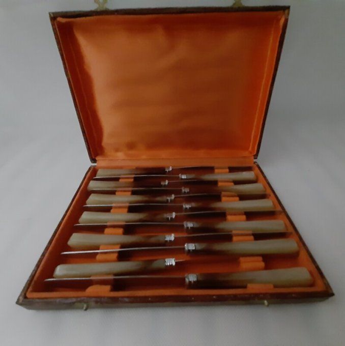 Coffret de 12 couteaux à dessert anciens – manches en galalithe façon corne – 20 cm