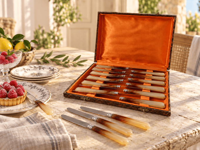 Coffret de 12 couteaux à dessert anciens – manches en galalithe façon corne – 20 cm