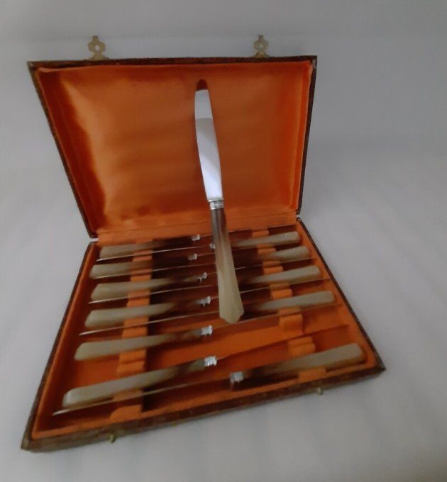 Coffret de 12 couteaux à dessert anciens – manches en galalithe façon corne – 20 cm