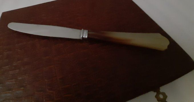 Coffret de 12 couteaux à dessert anciens – manches en galalithe façon corne – 20 cm